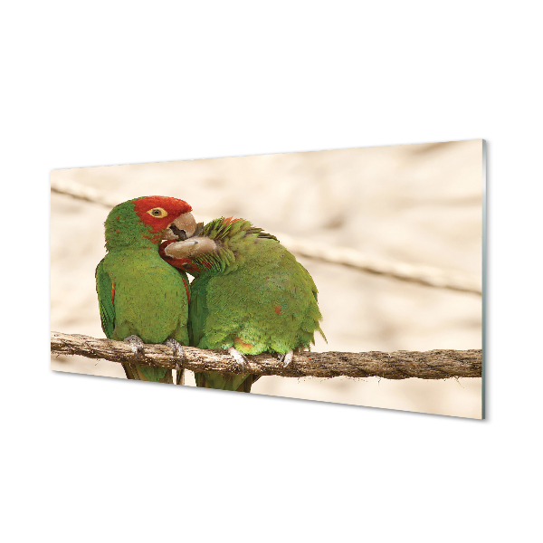Konyhai üveg panel zöld papagájok