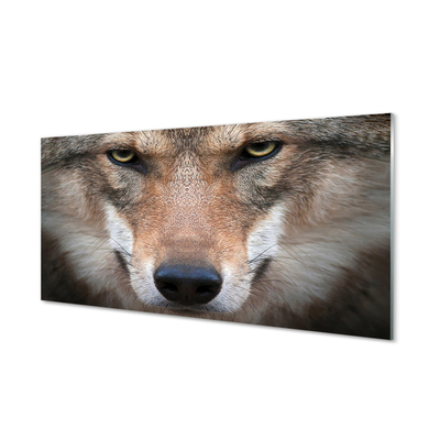 Konyhai üveg panel farkas szemet