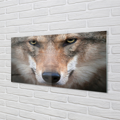 Konyhai üveg panel farkas szemet