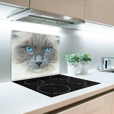 Üveg vágódeszka Cat kék szem