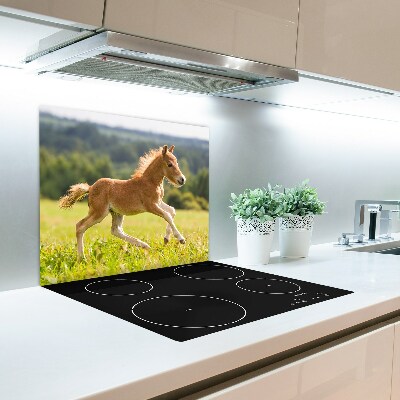 Üveg vágódeszka csikó galopp