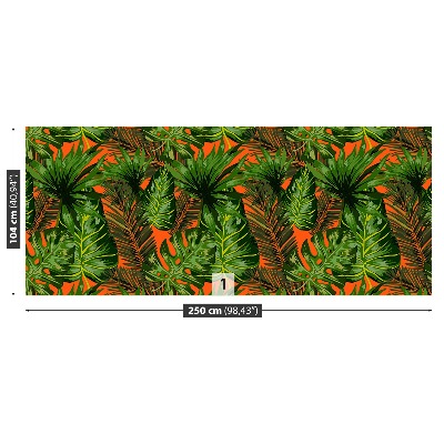 Fotótapéta trópusi levelek
