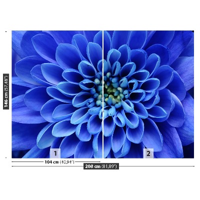 Fotótapéta kék virág