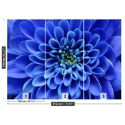 Fotótapéta kék virág