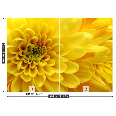 Fotótapéta sárga virág