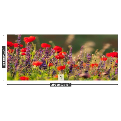 Fotótapéta Field virágok