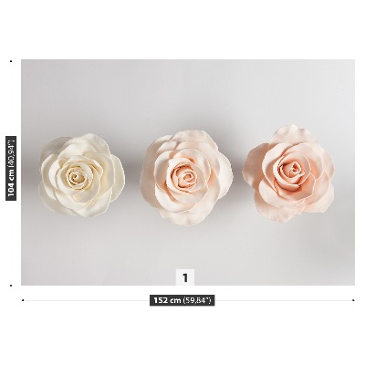 Fotótapéta Roses