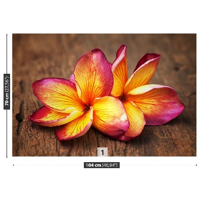 Fotótapéta plumeria Wood