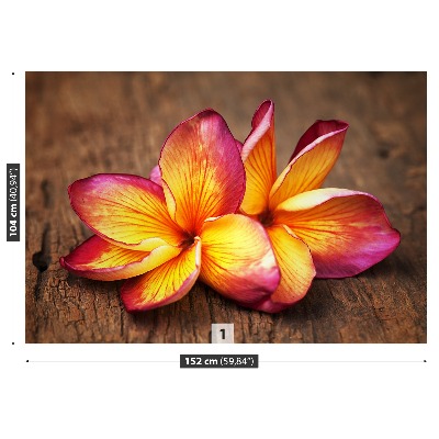 Fotótapéta plumeria Wood