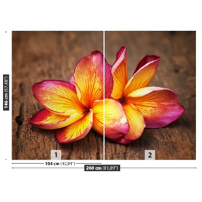 Fotótapéta plumeria Wood