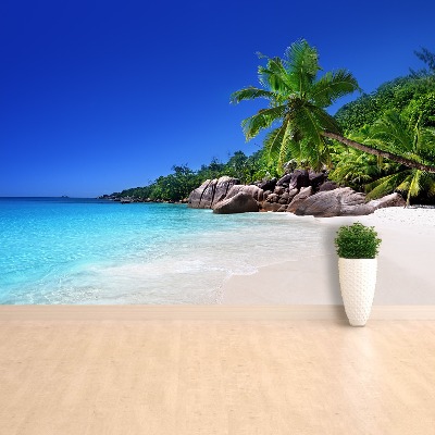 Fotótapéta Seychelles strand