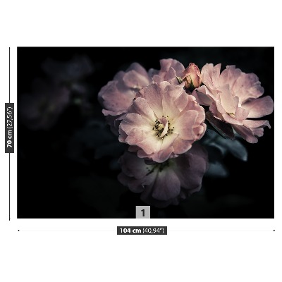 Fotótapéta Rózsaszín rózsa