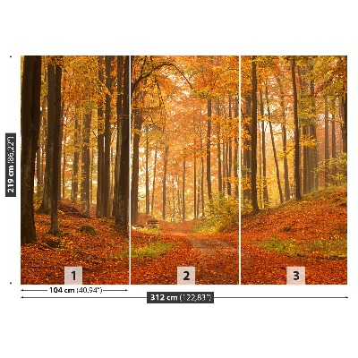 Fotótapéta erdő ősszel