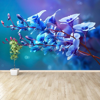 Fotótapéta kék orchidea