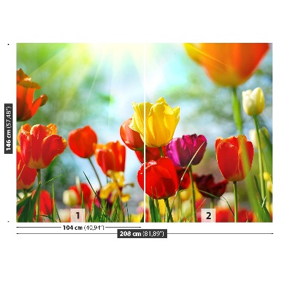 Fotótapéta virágok tulipán
