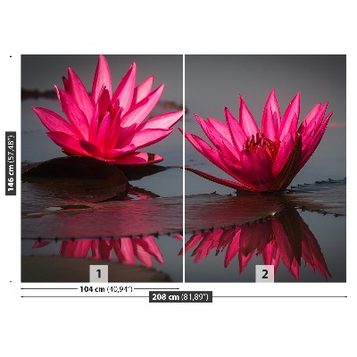 Fotótapéta Pink tavirózsák