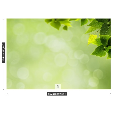 Fotótapéta Zöld levelek