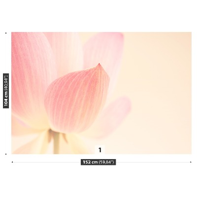 Fotótapéta rózsaszín lótusz