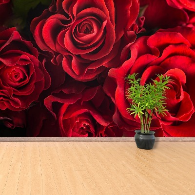 Fotótapéta vörös rózsák