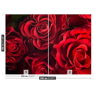 Fotótapéta vörös rózsák