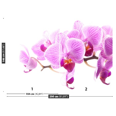 Fotótapéta rózsaszín orchidea