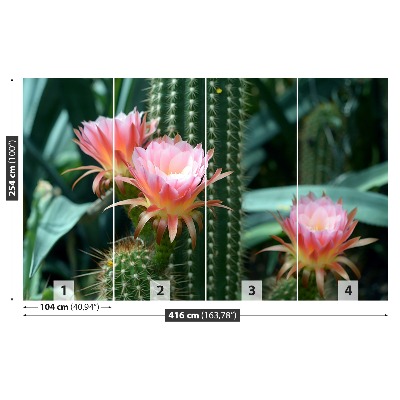 Fotótapéta kaktusz virág