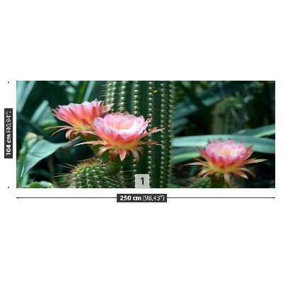Fotótapéta kaktusz virág