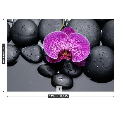 Fotótapéta orchidea Stones