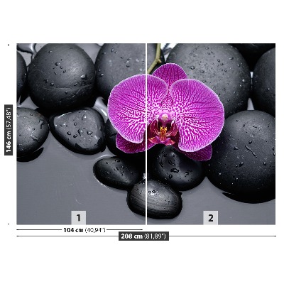 Fotótapéta orchidea Stones