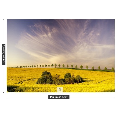 Fotótapéta repce mező