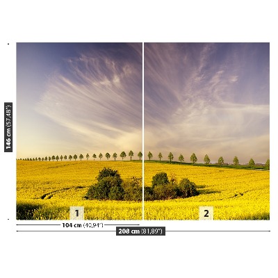 Fotótapéta repce mező