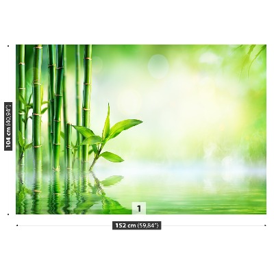Fotótapéta Bamboo Víz