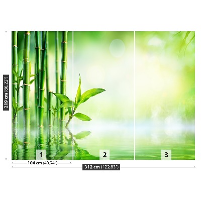 Fotótapéta Bamboo Víz
