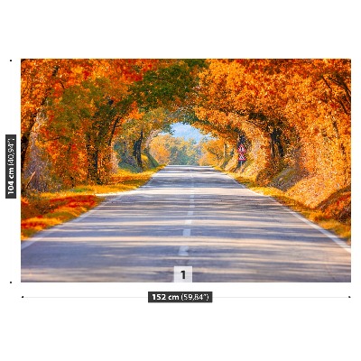 Fotótapéta Road ősszel