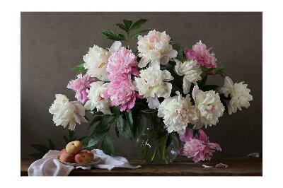 Fotótapéta peonies