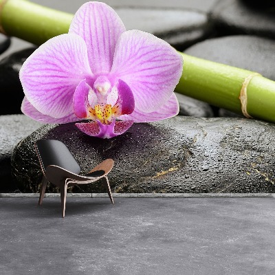 Fotótapéta orchidea Stones