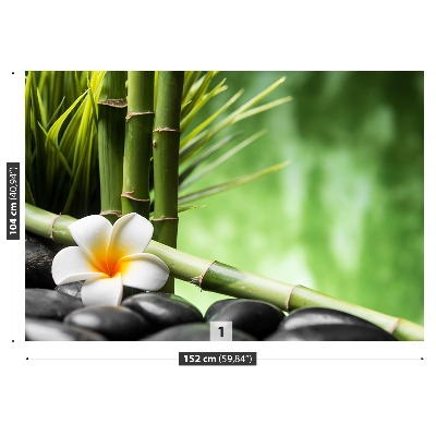 Fotótapéta Frangipani Bamboo