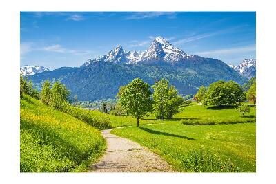 Fotótapéta nyáron Alps