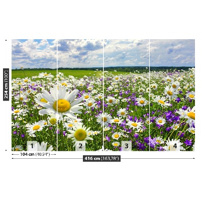 Fotótapéta Meadows és virágok