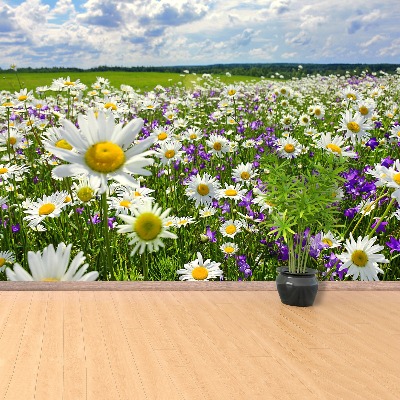 Fotótapéta Meadows és virágok