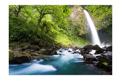 Fotótapéta Vízesés Costa Rica