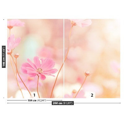 Fotótapéta Rózsaszín virágok kozmosz