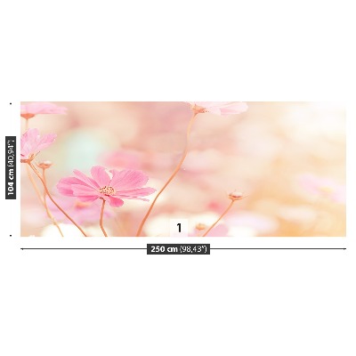 Fotótapéta Rózsaszín virágok kozmosz