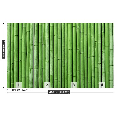 Fotótapéta Bamboo Green
