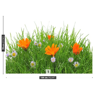 Fotótapéta Easter virágok