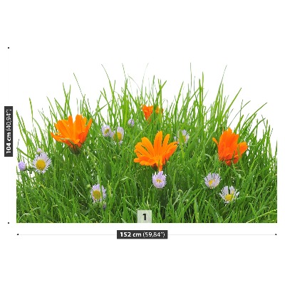 Fotótapéta Easter virágok