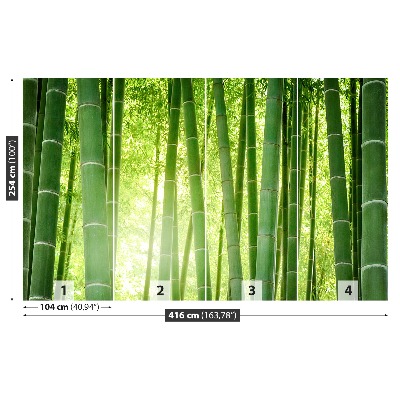 Fotótapéta bambusz erdő
