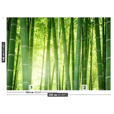 Fotótapéta bambusz erdő