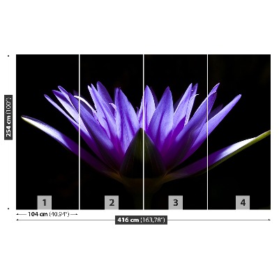 Fotótapéta Purple Lotus