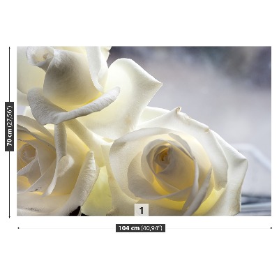 Fotótapéta Fehér rózsák